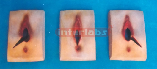 FEMALE EPISIOTOMY & SUTURING COMPOSITION MODEL FOR TRAINING (3 PCS / SET)